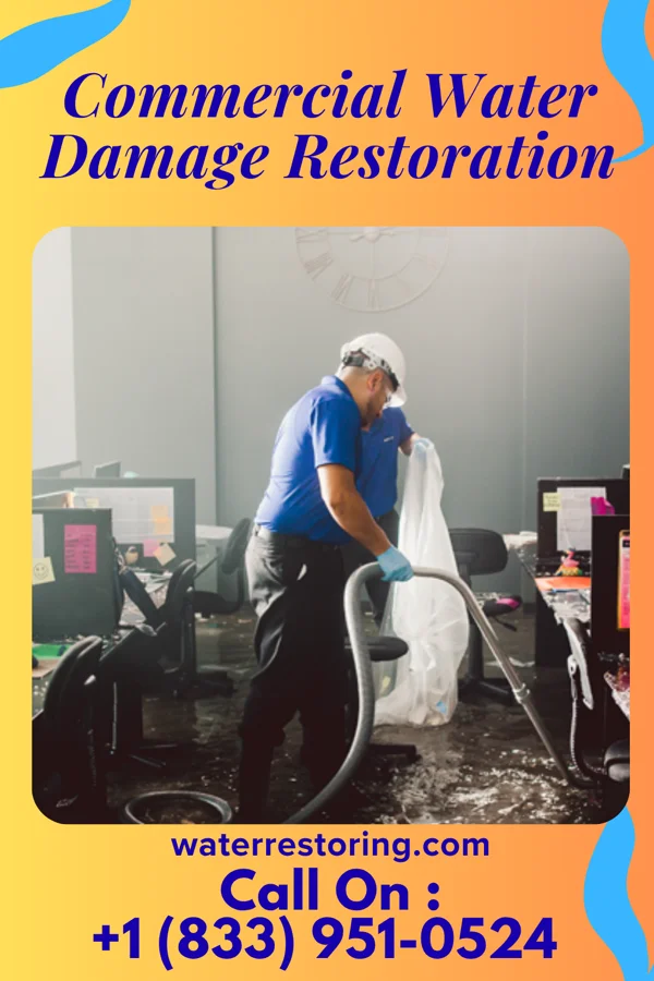Commercial Water Damage Restoration in McKinley, MN