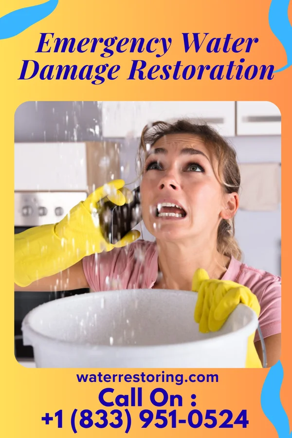 Emergency Water Damage Restoration in McKinley, MN