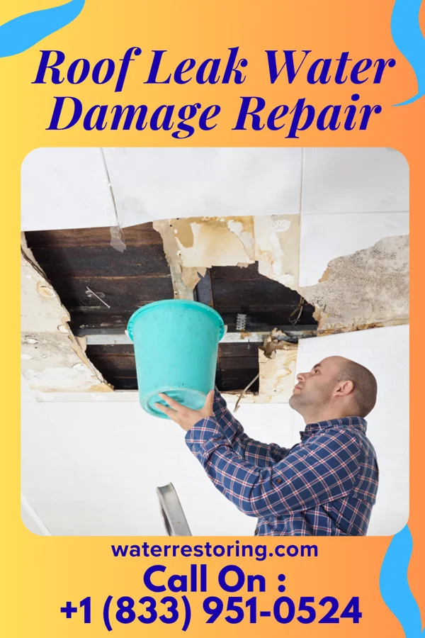 Roof Leak Water Damage Repair in McKinley, MN